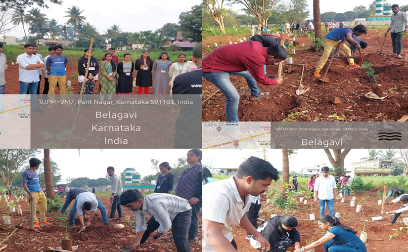 Tree-Plantation-Drive-2024-03